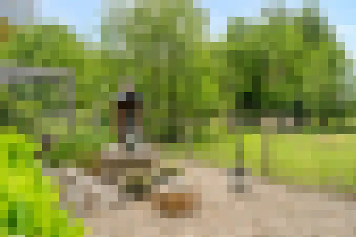 Stenenkamerseweg 37 A Putten thumbnail 62