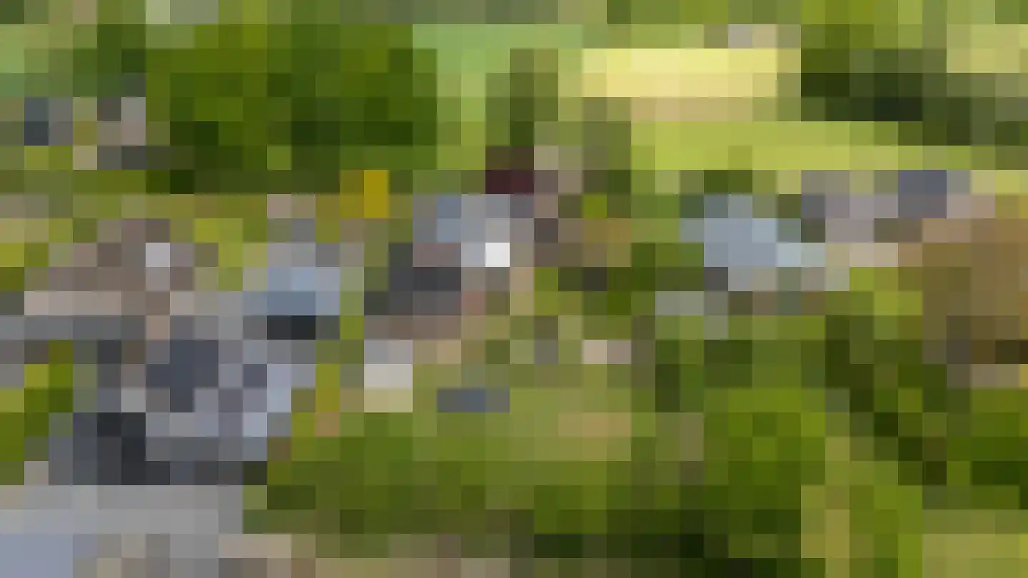 Stenenkamerseweg 37 A Putten thumbnail 66