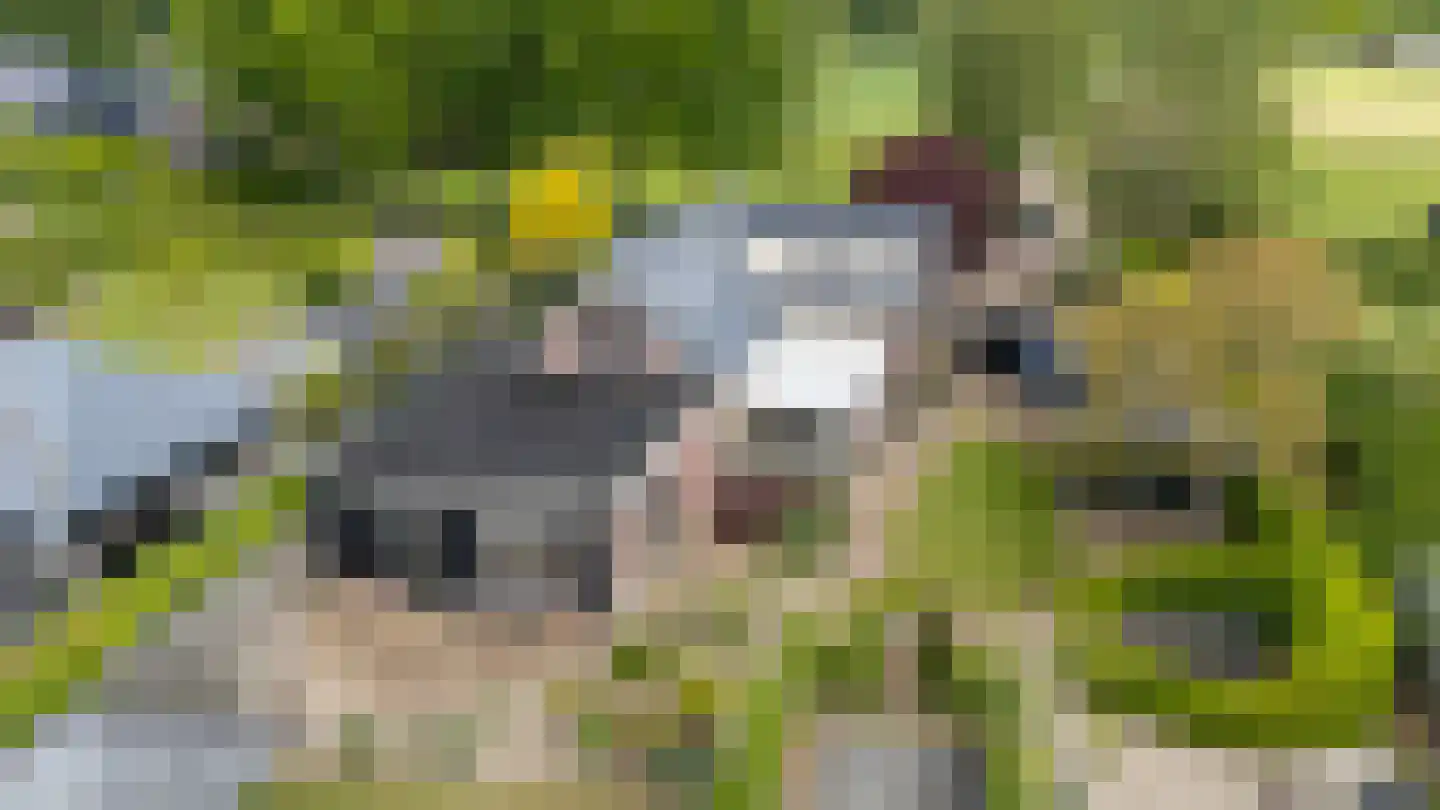 Stenenkamerseweg 37 A Putten thumbnail 67