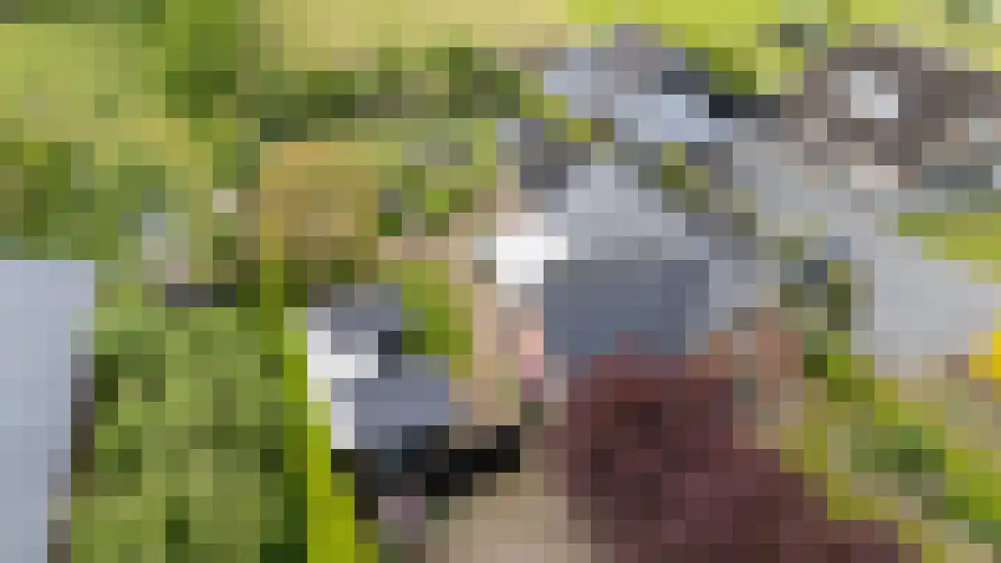 Stenenkamerseweg 37 A Putten thumbnail 68