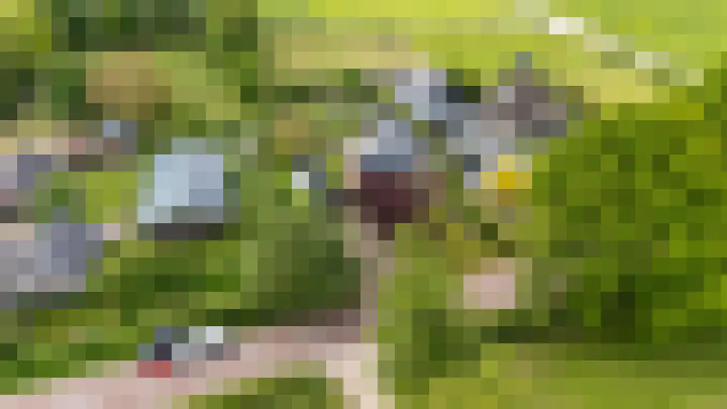 Stenenkamerseweg 37 A Putten thumbnail 69