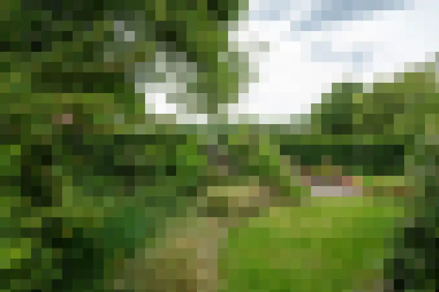 Stenenkamerseweg 37 Putten thumbnail 38
