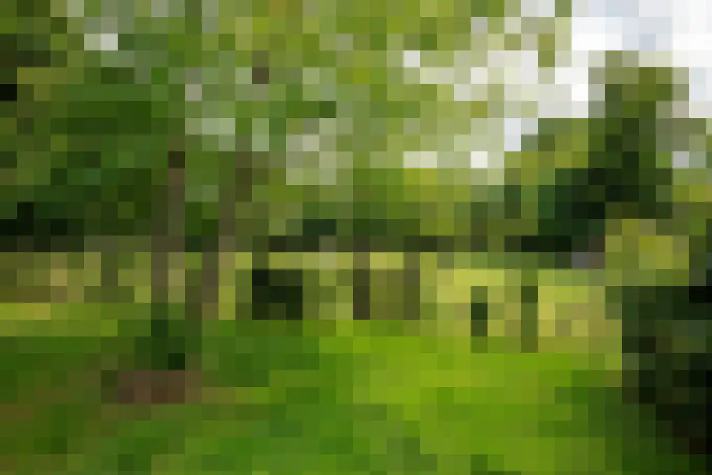 Stenenkamerseweg 37 Putten thumbnail 41