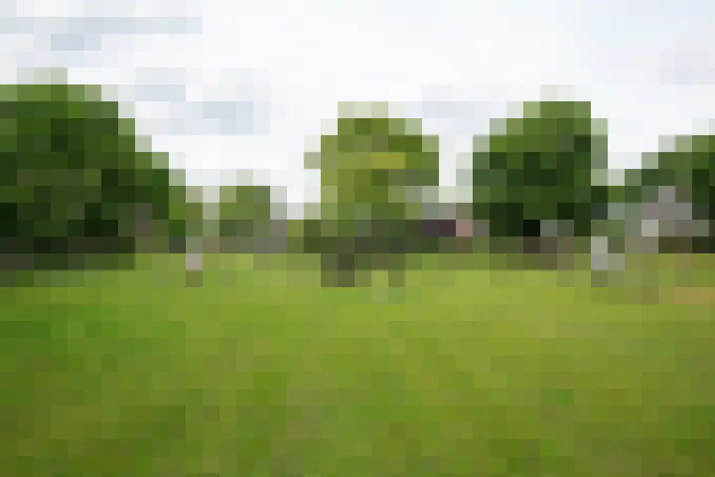 Stenenkamerseweg 37 Putten thumbnail 43