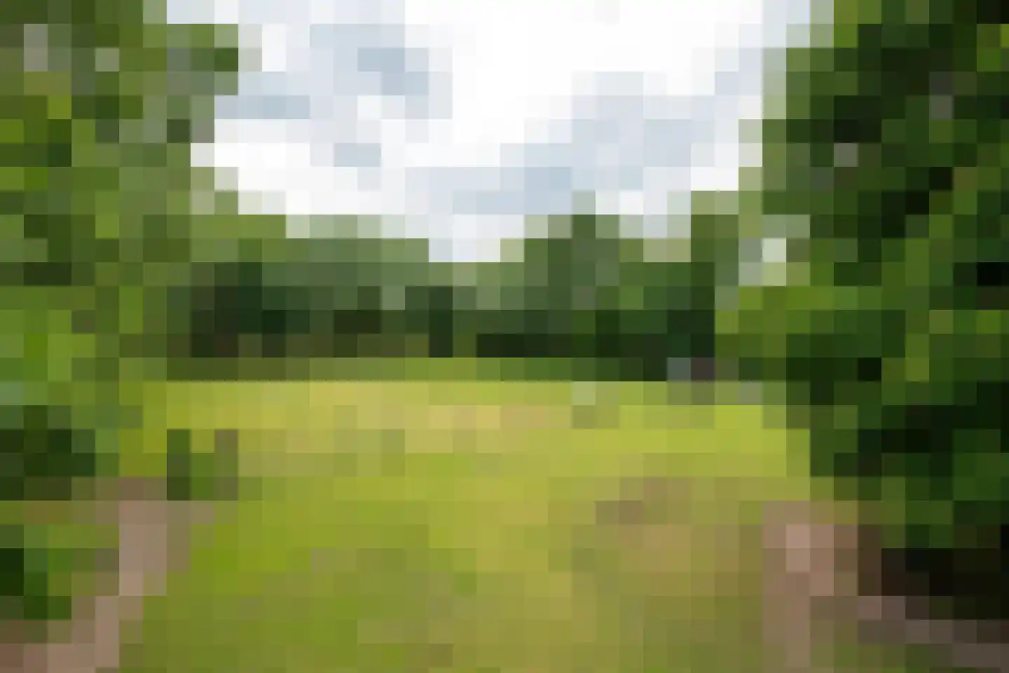Stenenkamerseweg 37 Putten thumbnail 44