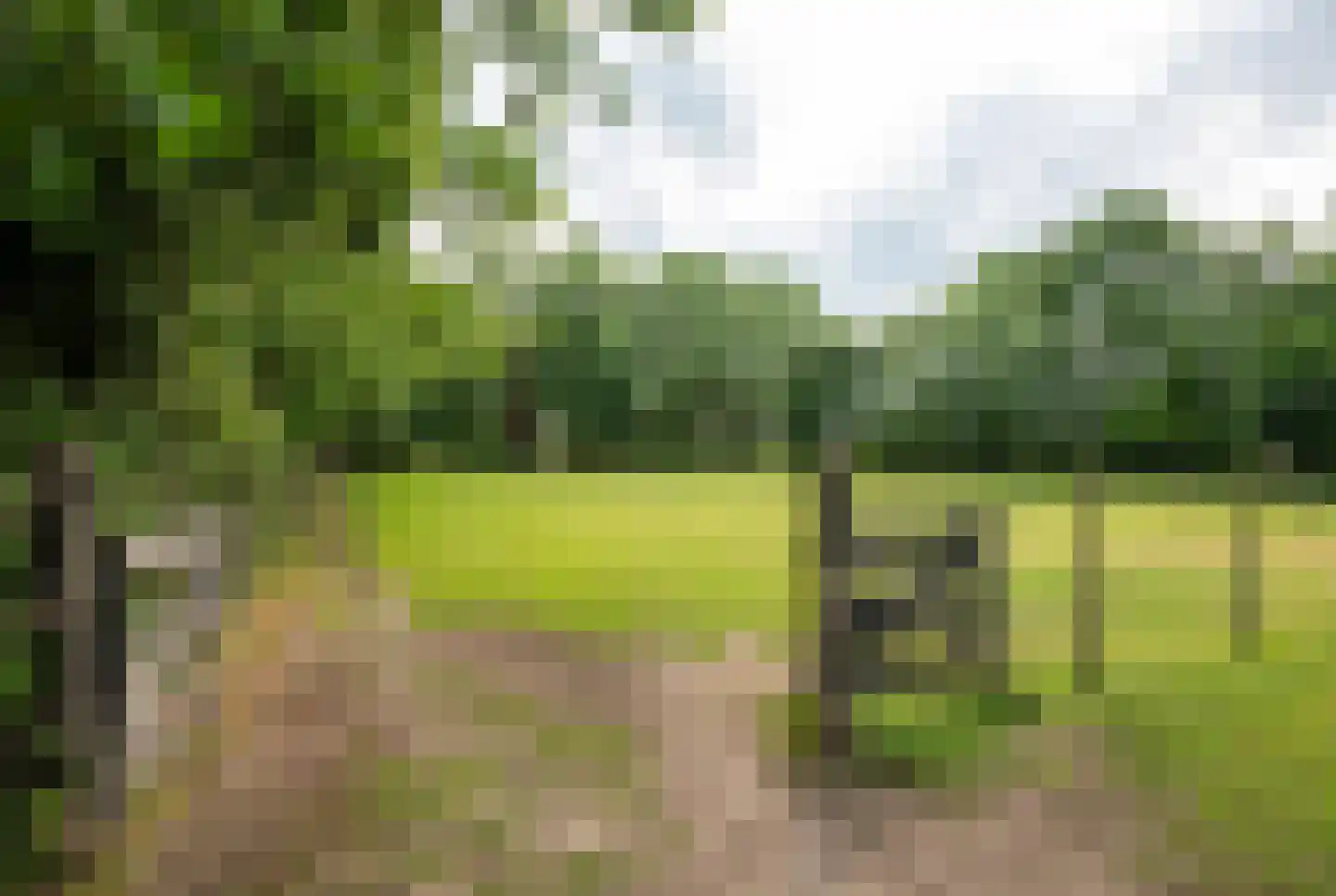 Stenenkamerseweg 37 Putten thumbnail 45