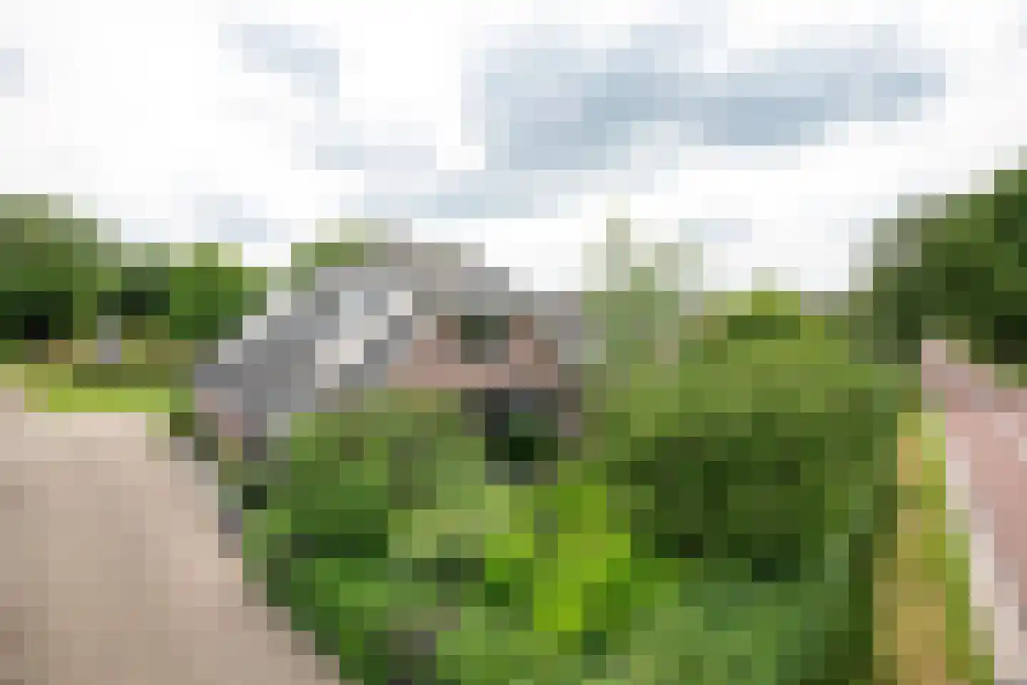 Stenenkamerseweg 37 Putten thumbnail 5