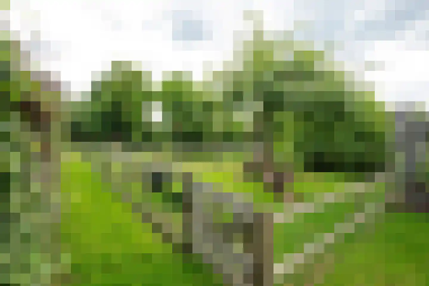 Stenenkamerseweg 37 Putten thumbnail 53