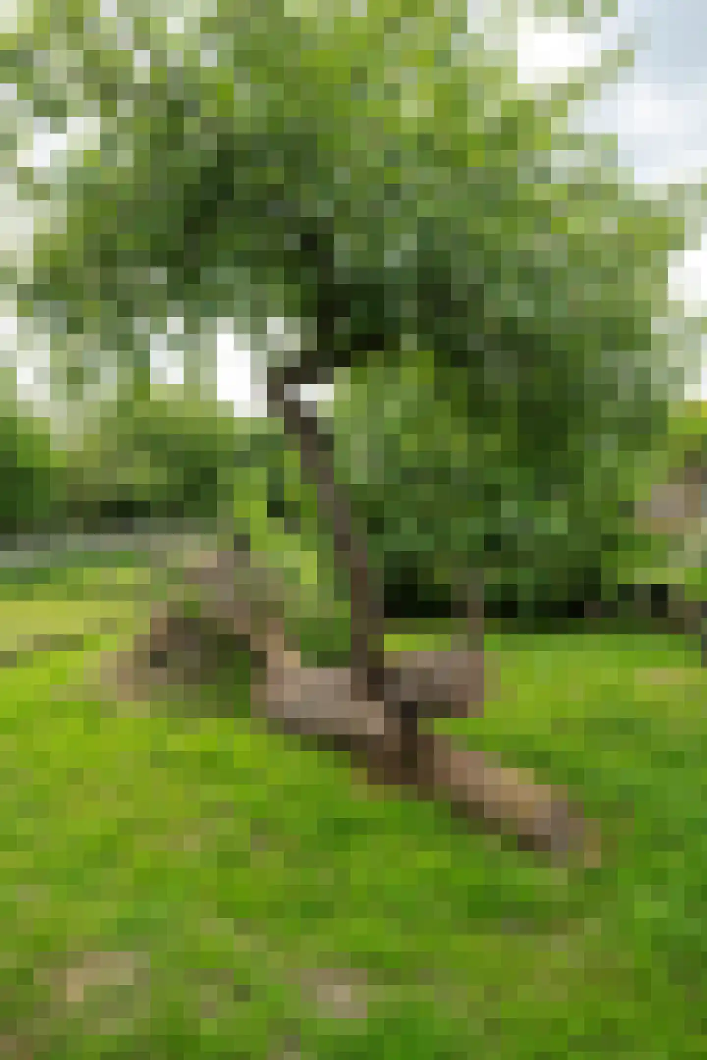 Stenenkamerseweg 37 Putten thumbnail 54