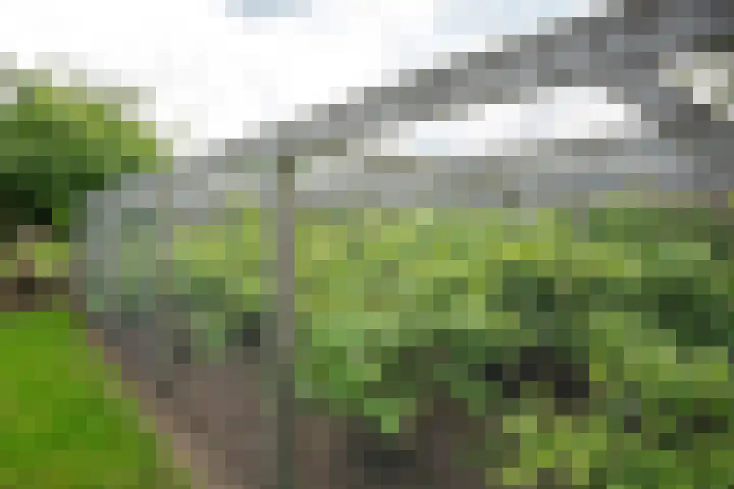 Stenenkamerseweg 37 Putten thumbnail 56