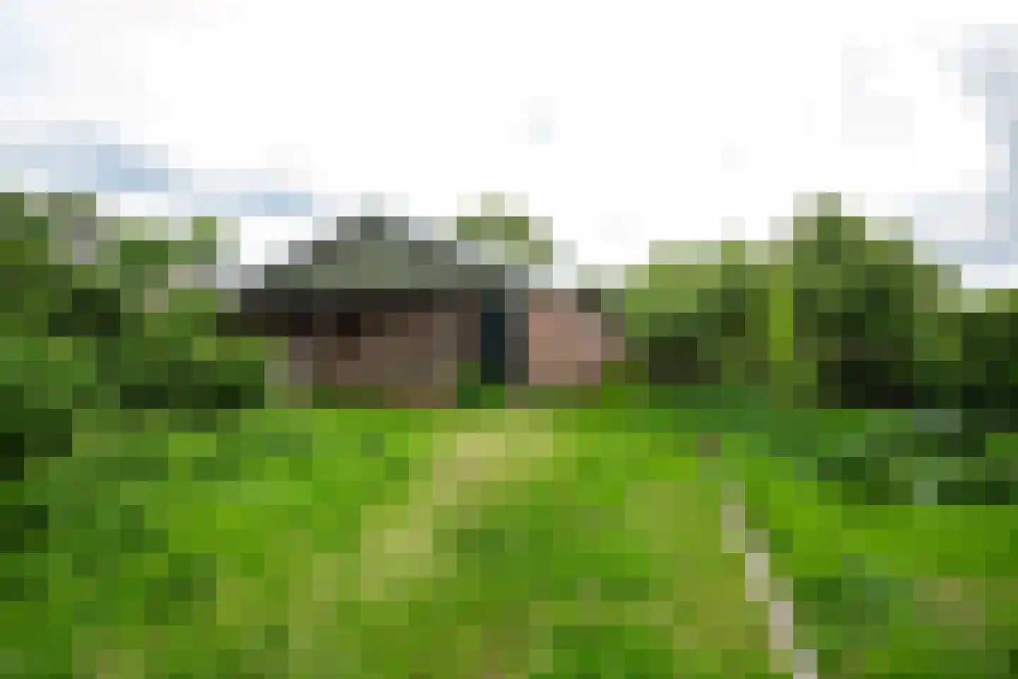 Stenenkamerseweg 37 Putten thumbnail 57