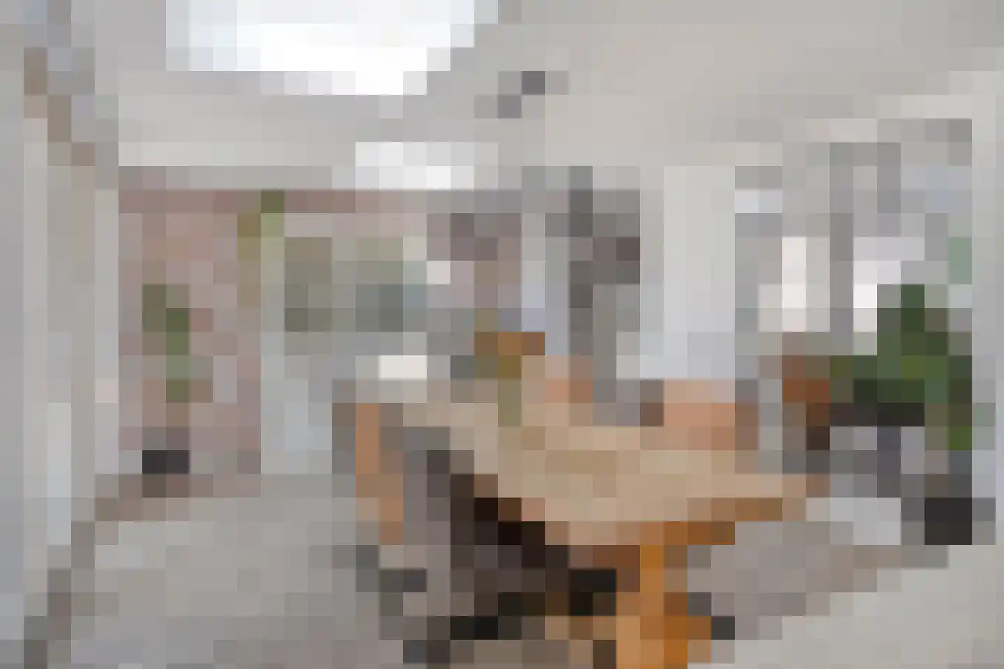 Stenenkamerstraat 10 Herveld thumbnail 13