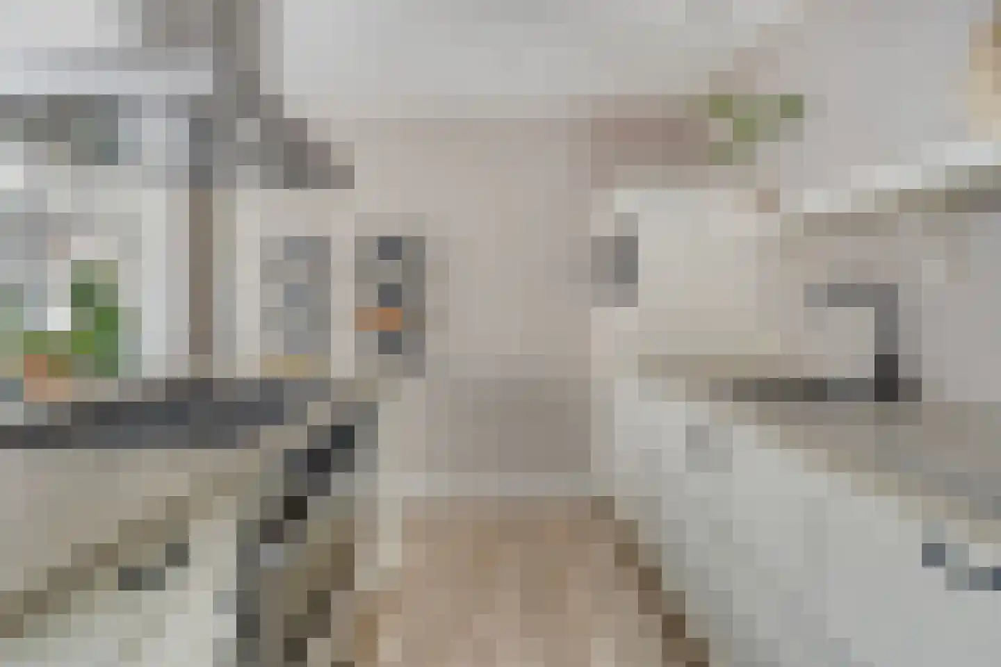 Stenenkamerstraat 10 Herveld thumbnail 16