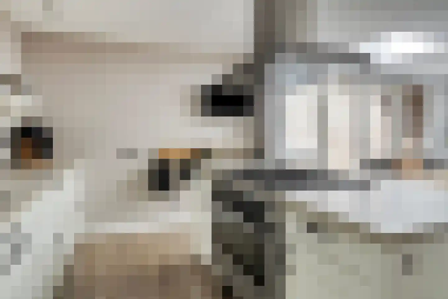 Stenenkamerstraat 10 Herveld thumbnail 17