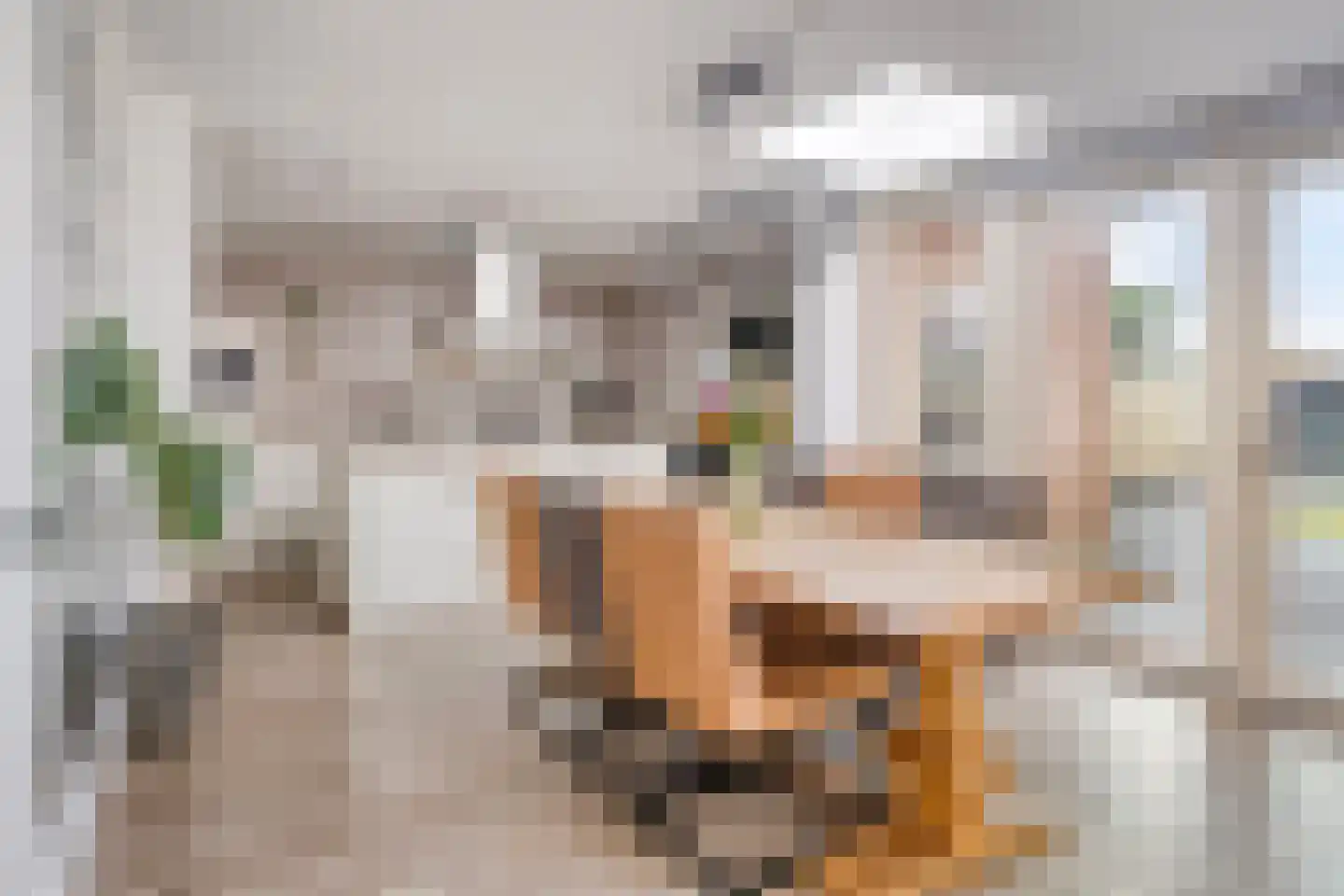 Stenenkamerstraat 10 Herveld thumbnail 4