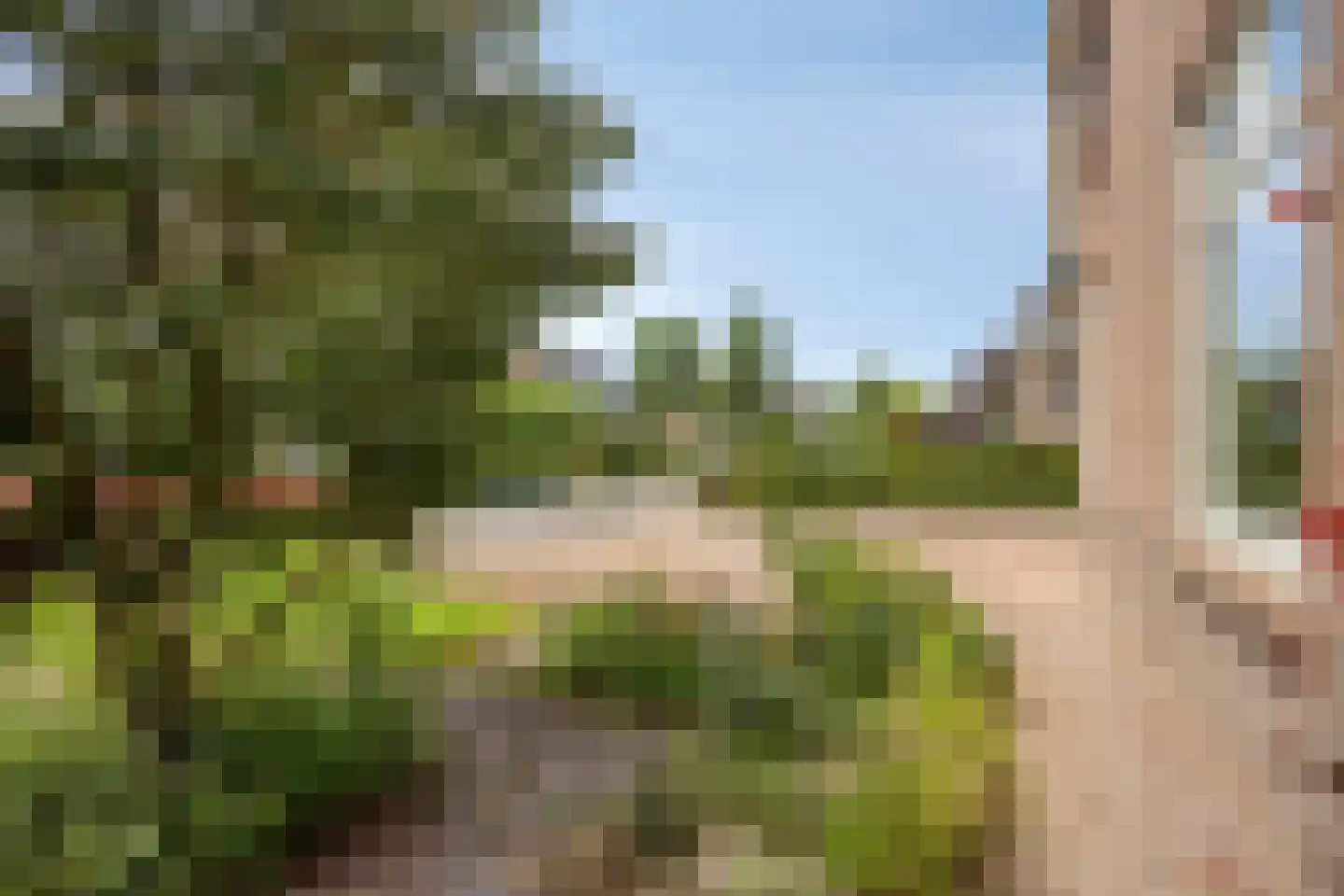 Stenenkamerstraat 15 Herveld thumbnail 11