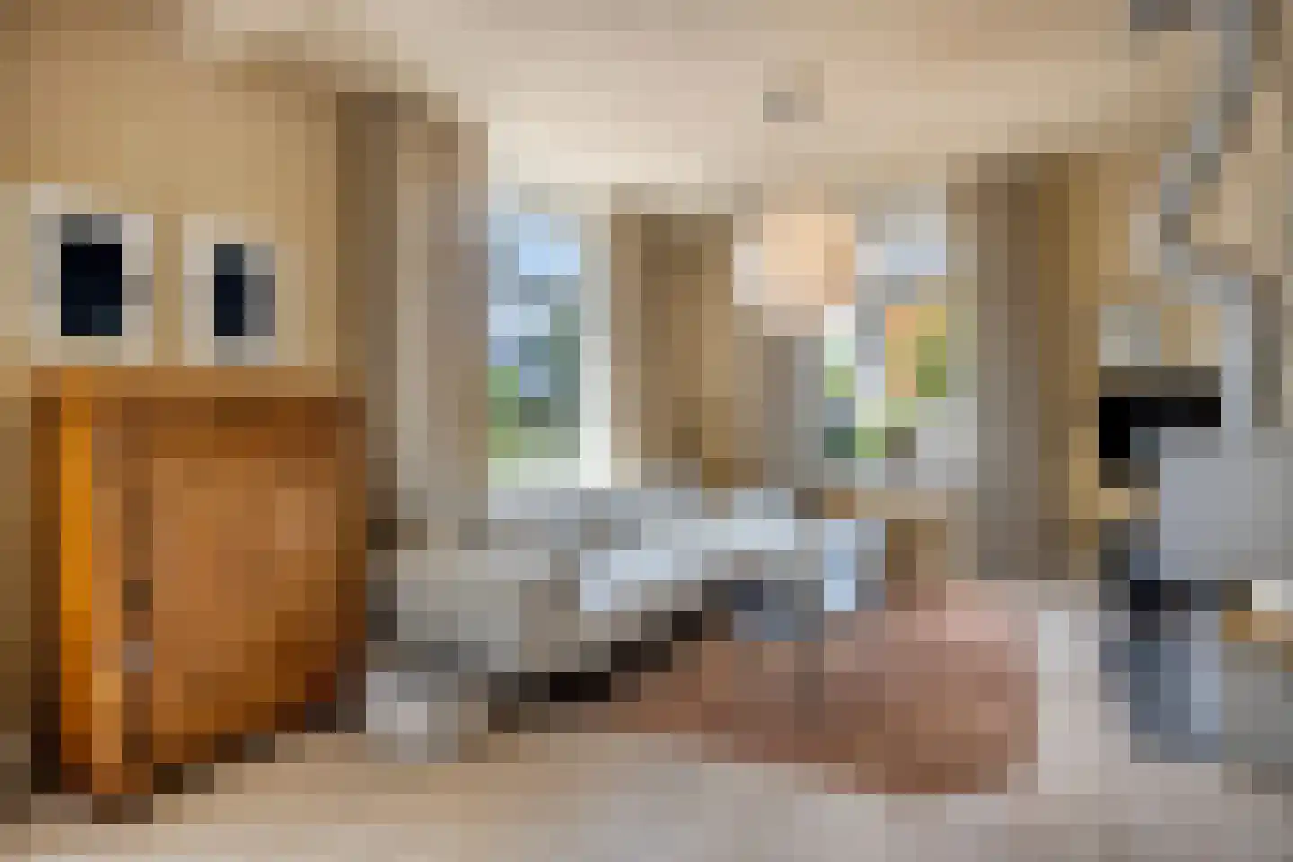 Stenenkamerstraat 15 Herveld thumbnail 17