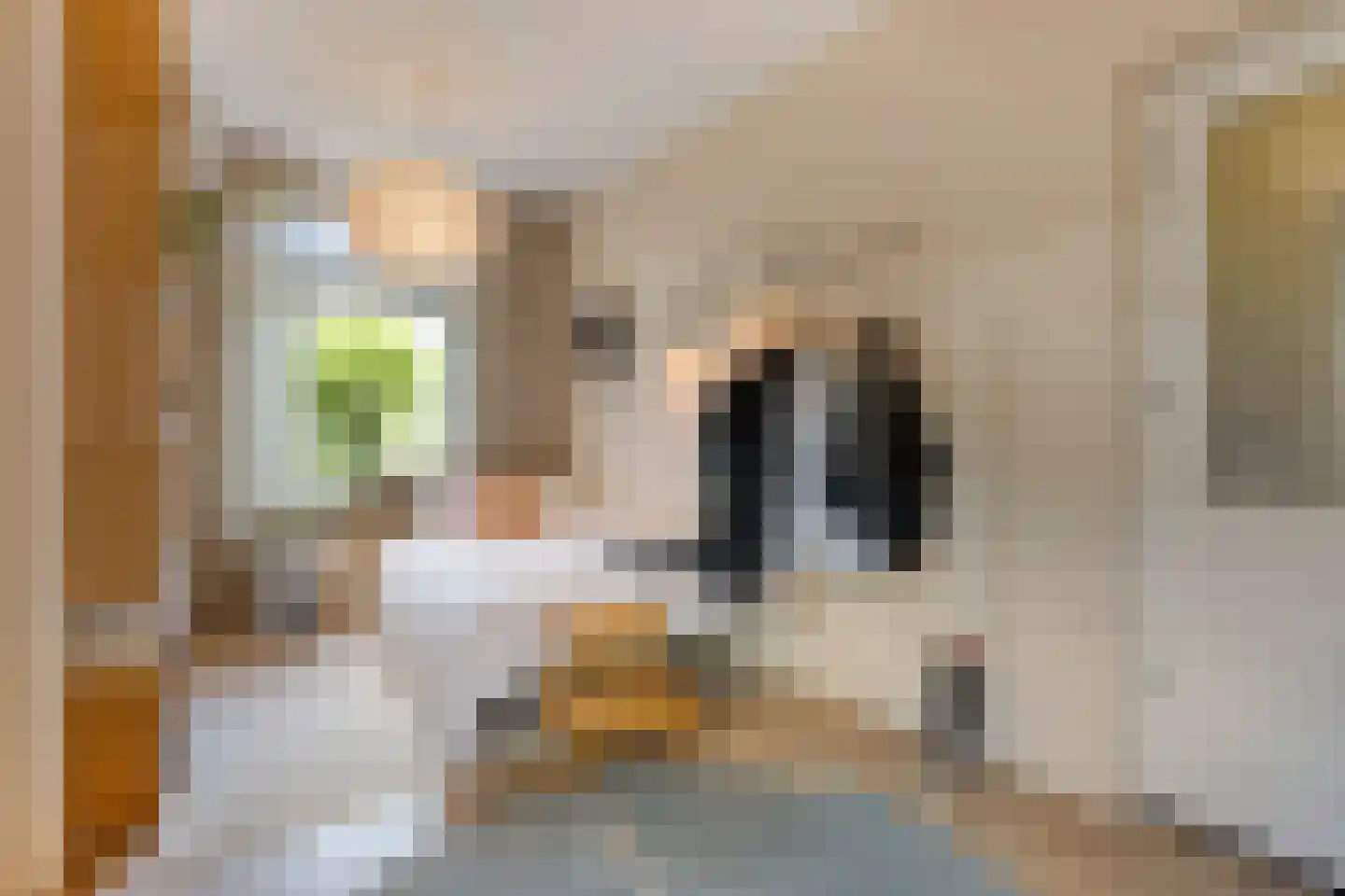 Stenenkamerstraat 15 Herveld thumbnail 30