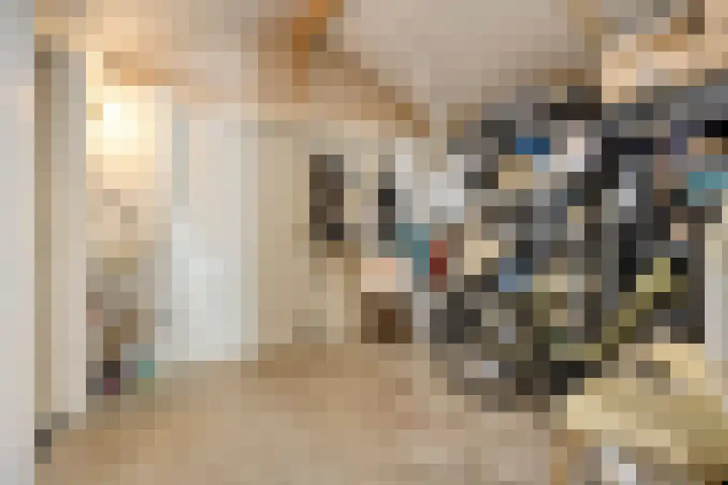 Stenenkamerstraat 15 Herveld thumbnail 32