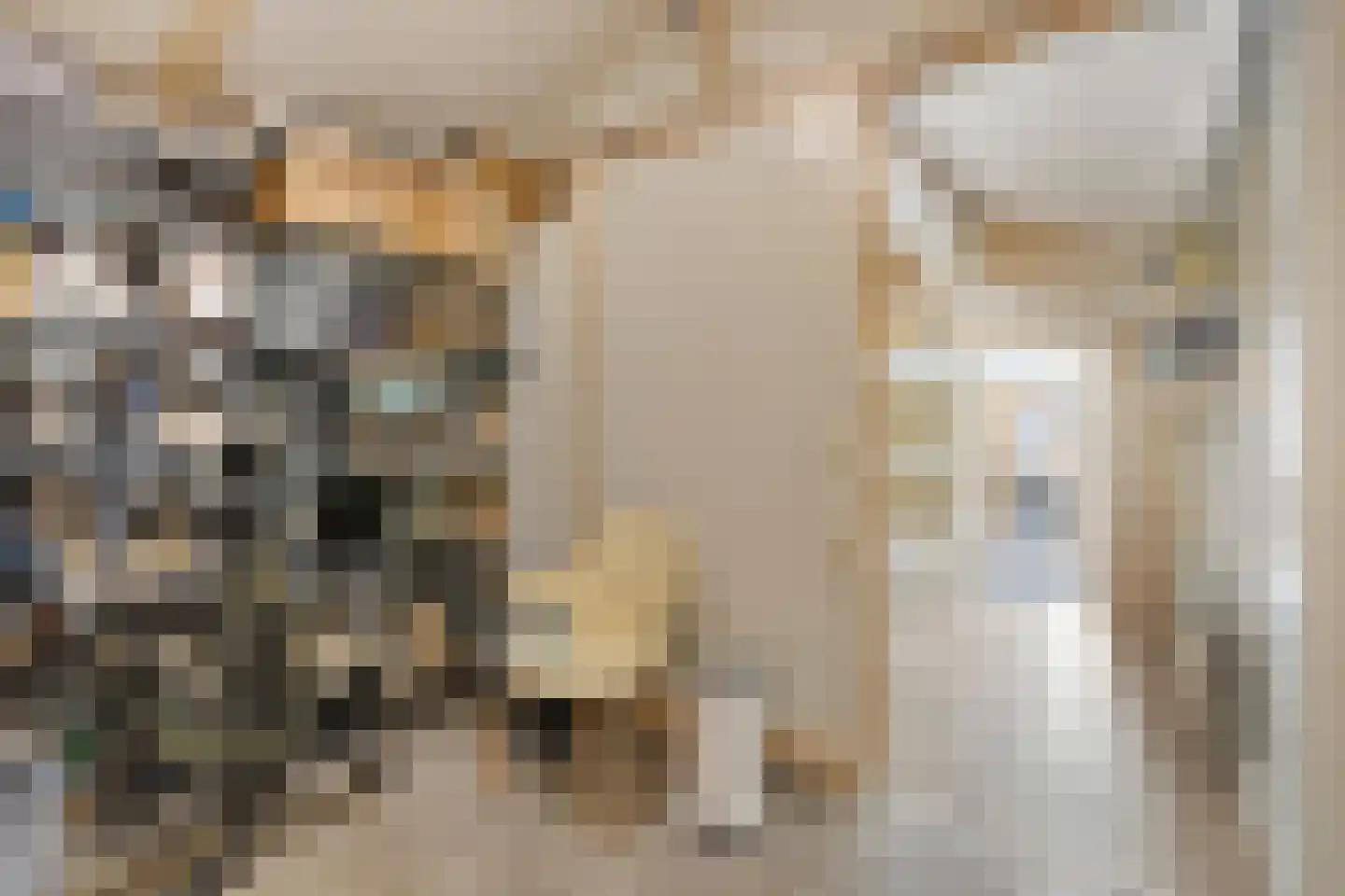 Stenenkamerstraat 15 Herveld thumbnail 33