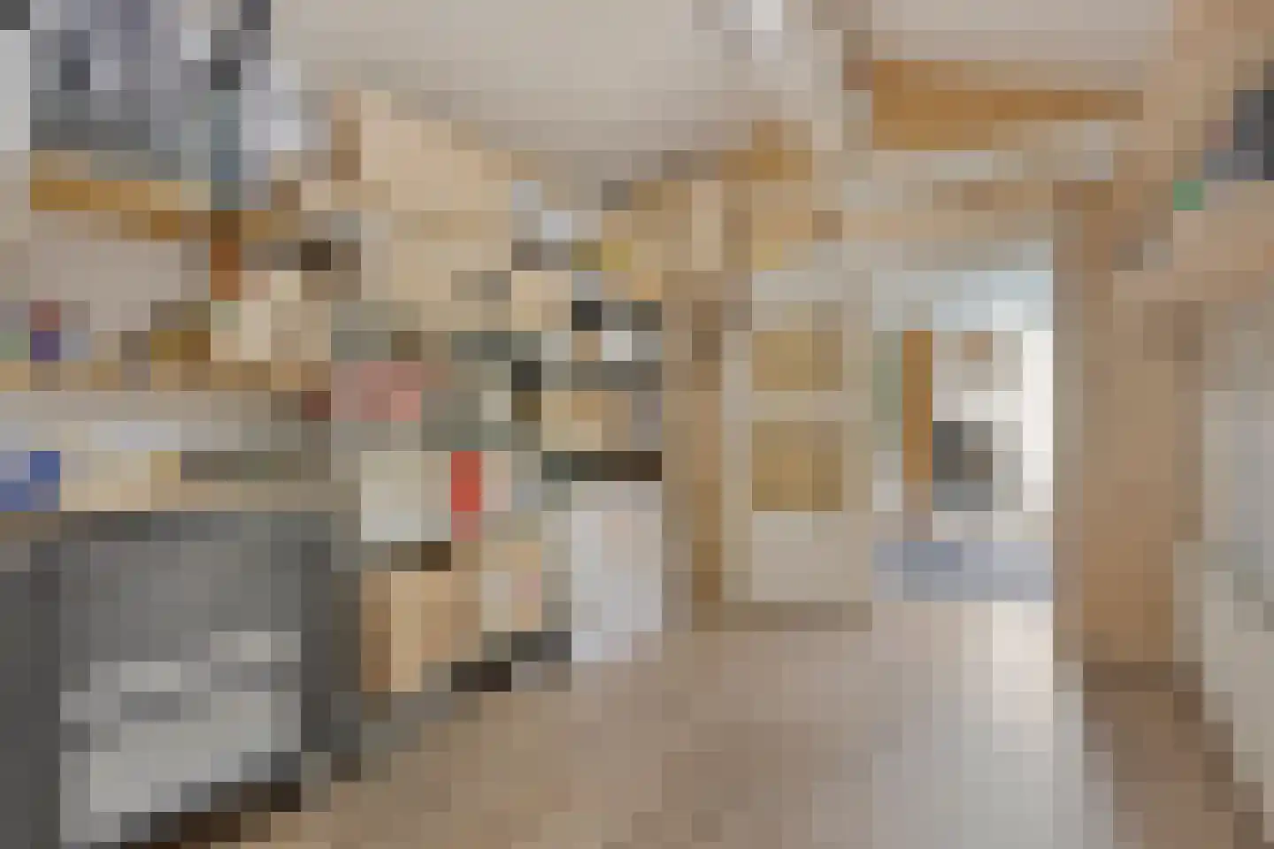 Stenenkamerstraat 15 Herveld thumbnail 34