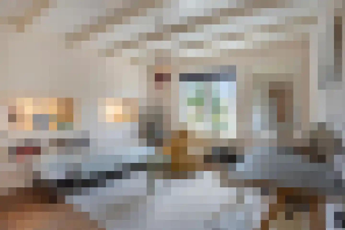 Stenenkamerstraat 15 Herveld thumbnail 43