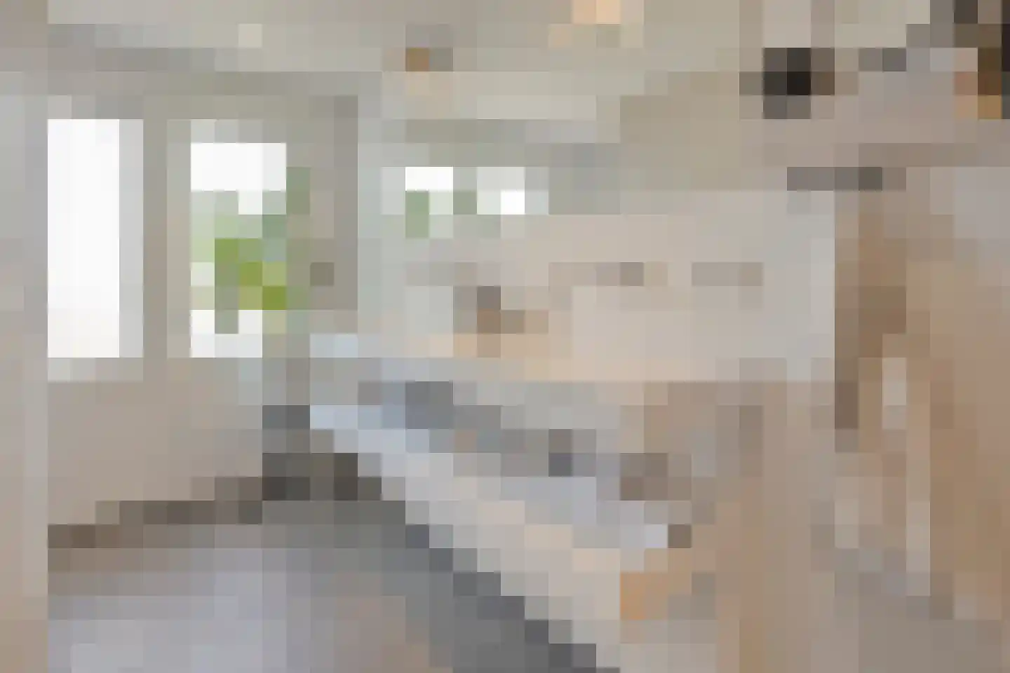 Stenenkamerstraat 15 Herveld thumbnail 52