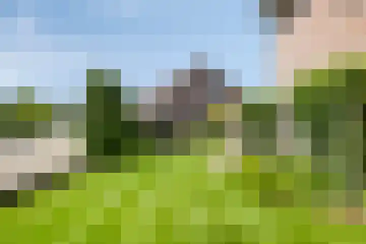 Stenenkamerstraat 34 Herveld thumbnail 42