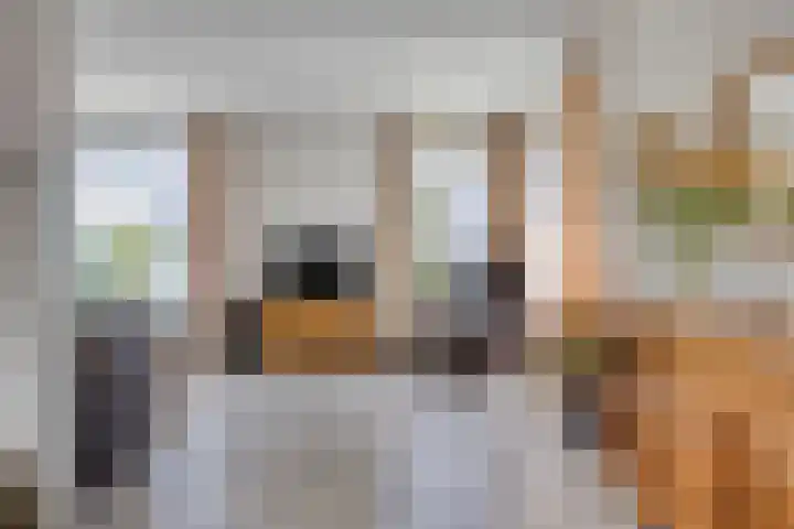 Stenenkamerstraat 34 Herveld thumbnail 9