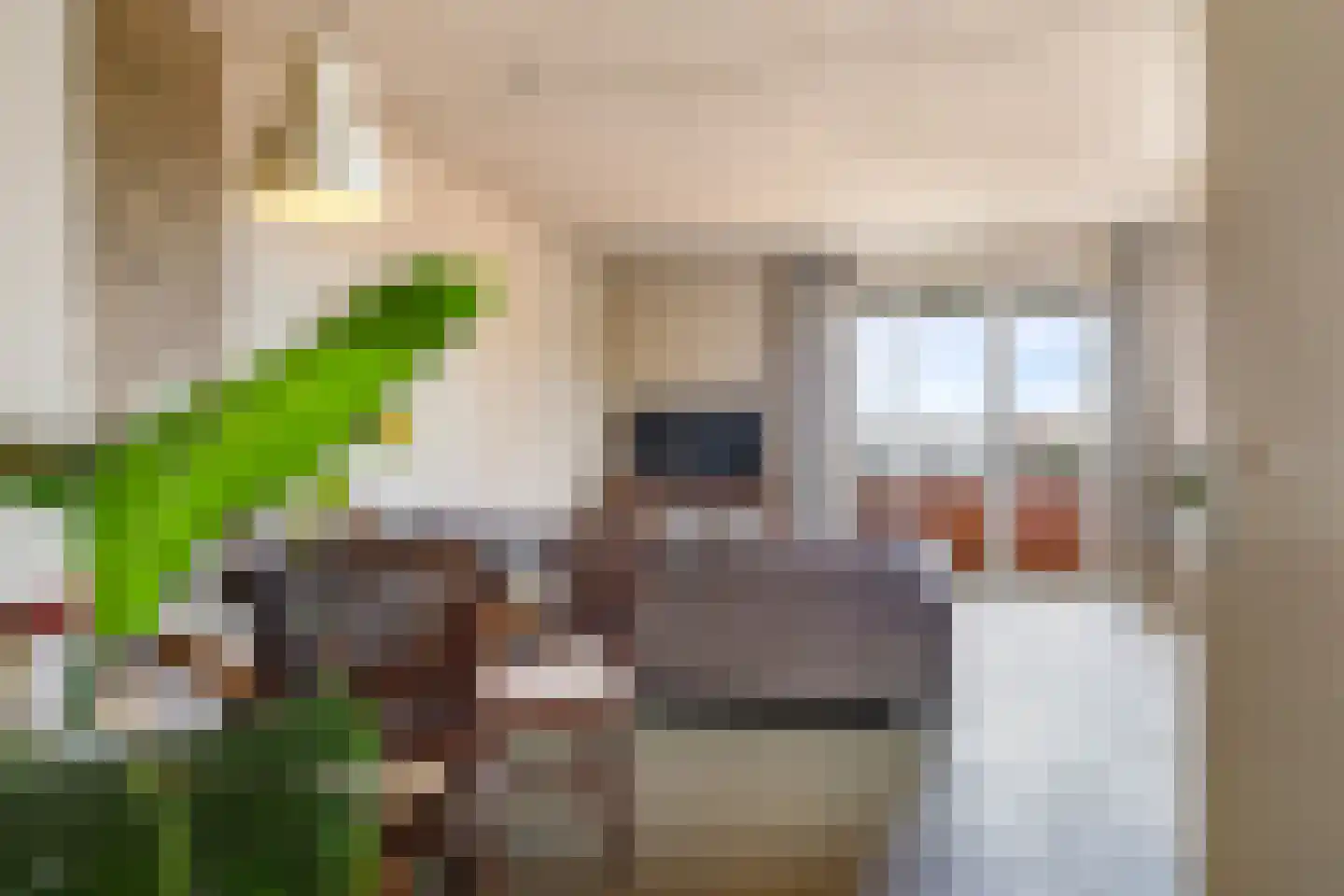 Stenenkamerstraat 5 j Herveld thumbnail 10