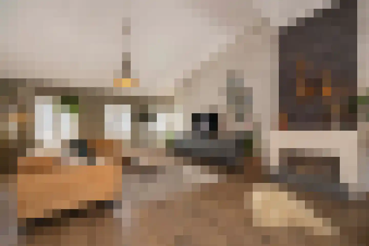 Stenenstraatje 10 Oirschot thumbnail 13