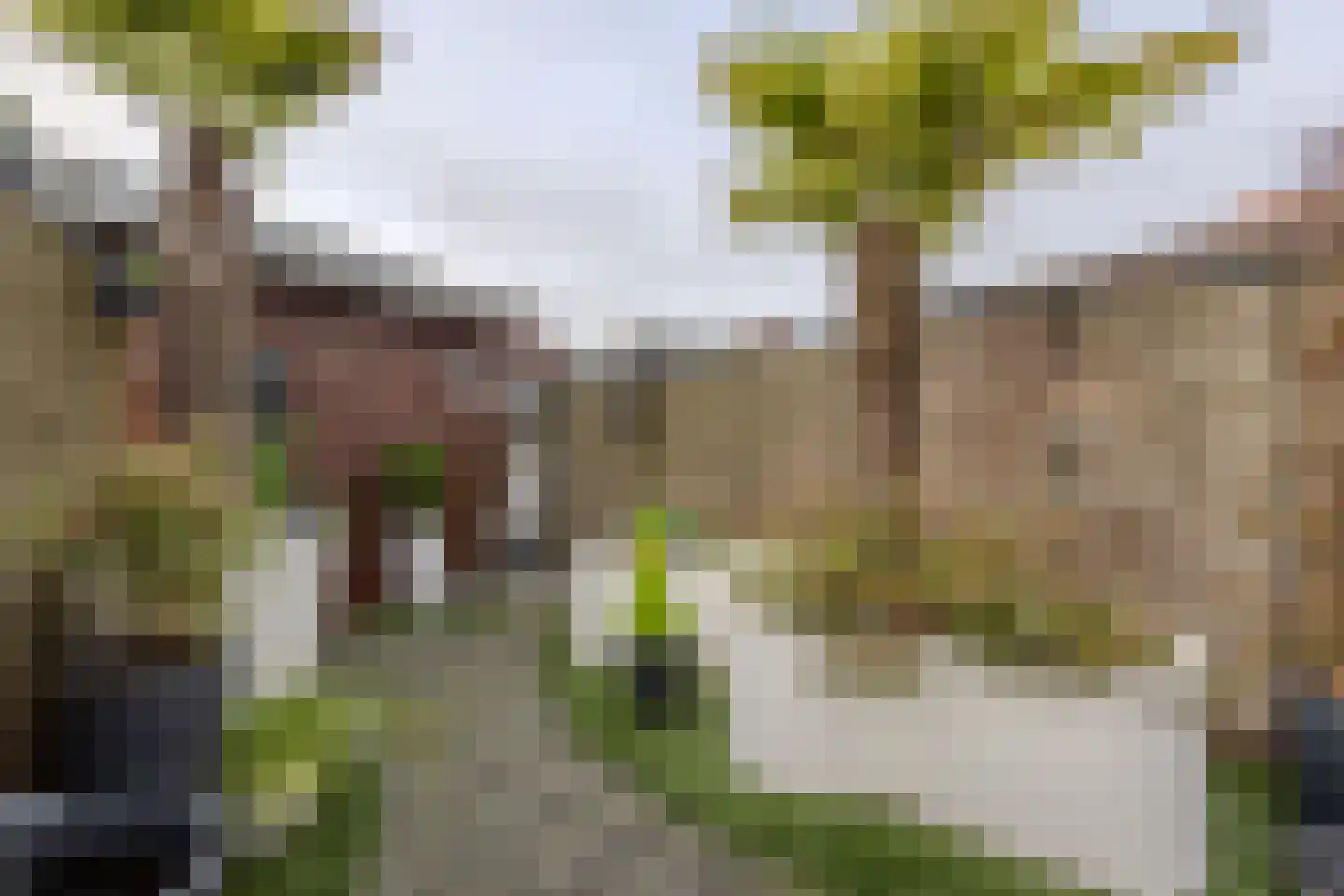 Stenenstraatje 10 Oirschot thumbnail 34
