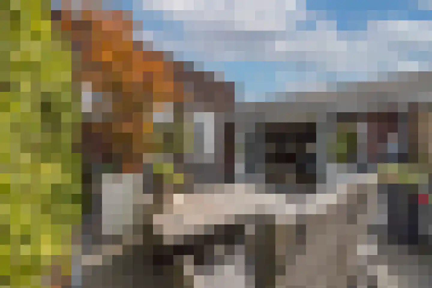 Stenenstraatje 10 Oirschot thumbnail 39