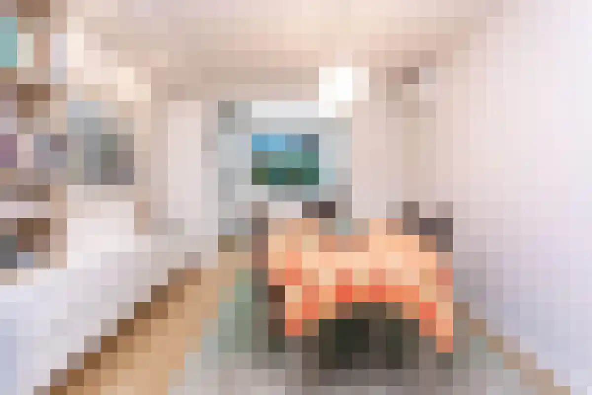 Stenenwal 17 Maastricht thumbnail 6