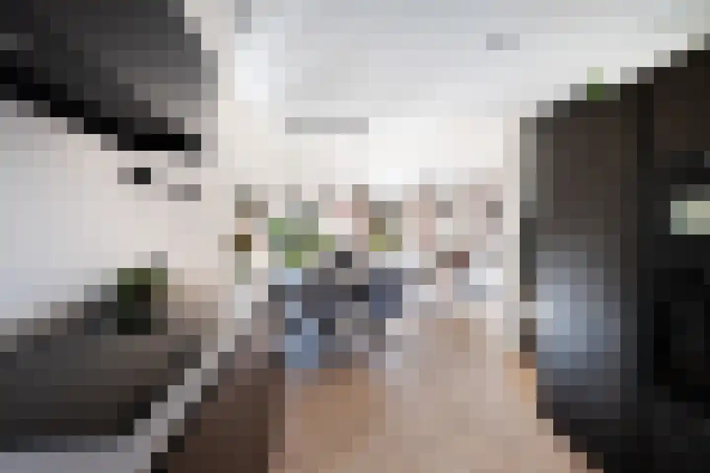 Steneveld 52 Ede thumbnail 15