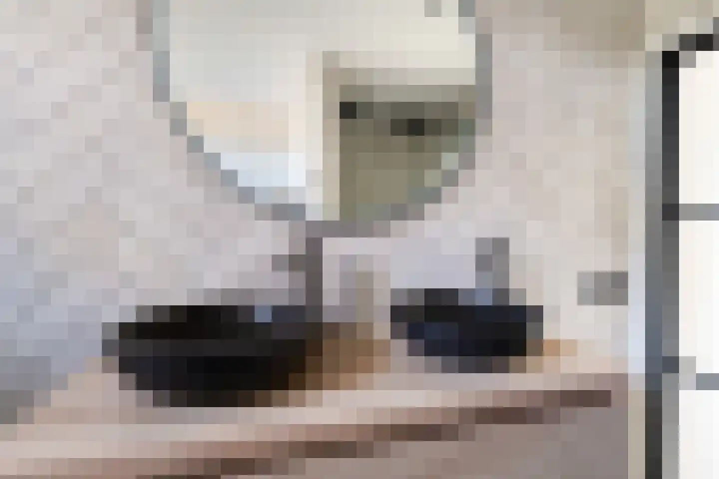 Steneveld 52 Ede thumbnail 27