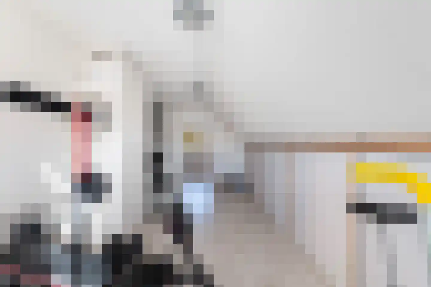 Steneveld 52 Ede thumbnail 32