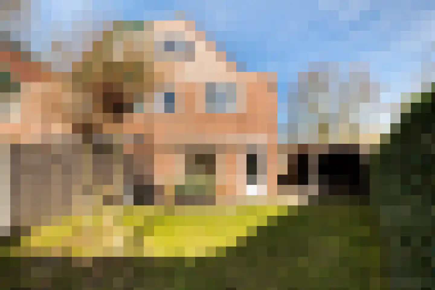 Steneveld 52 Ede thumbnail 34