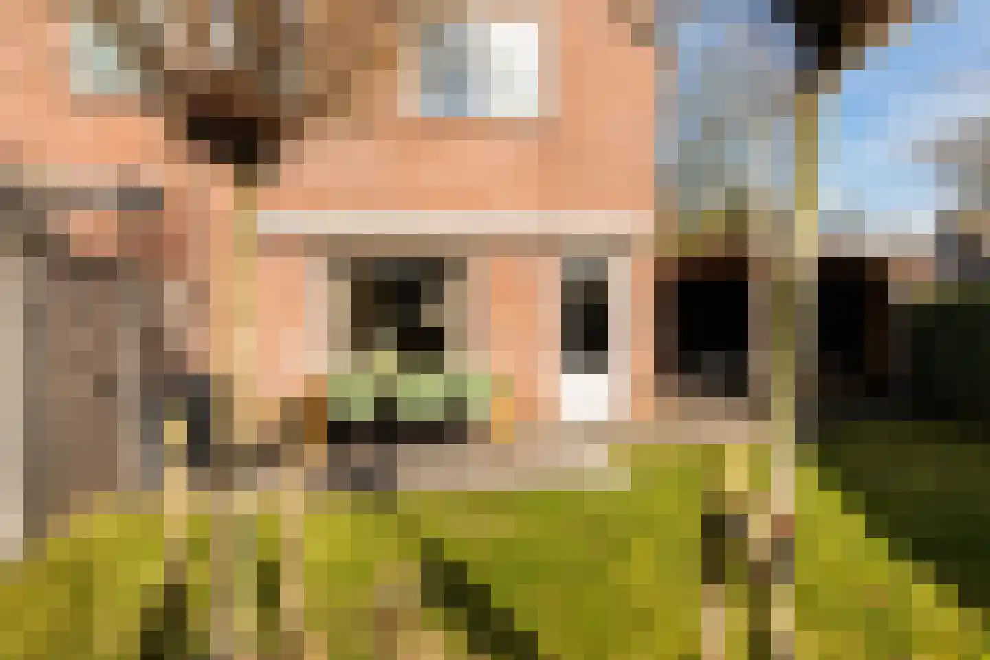 Steneveld 52 Ede thumbnail 35