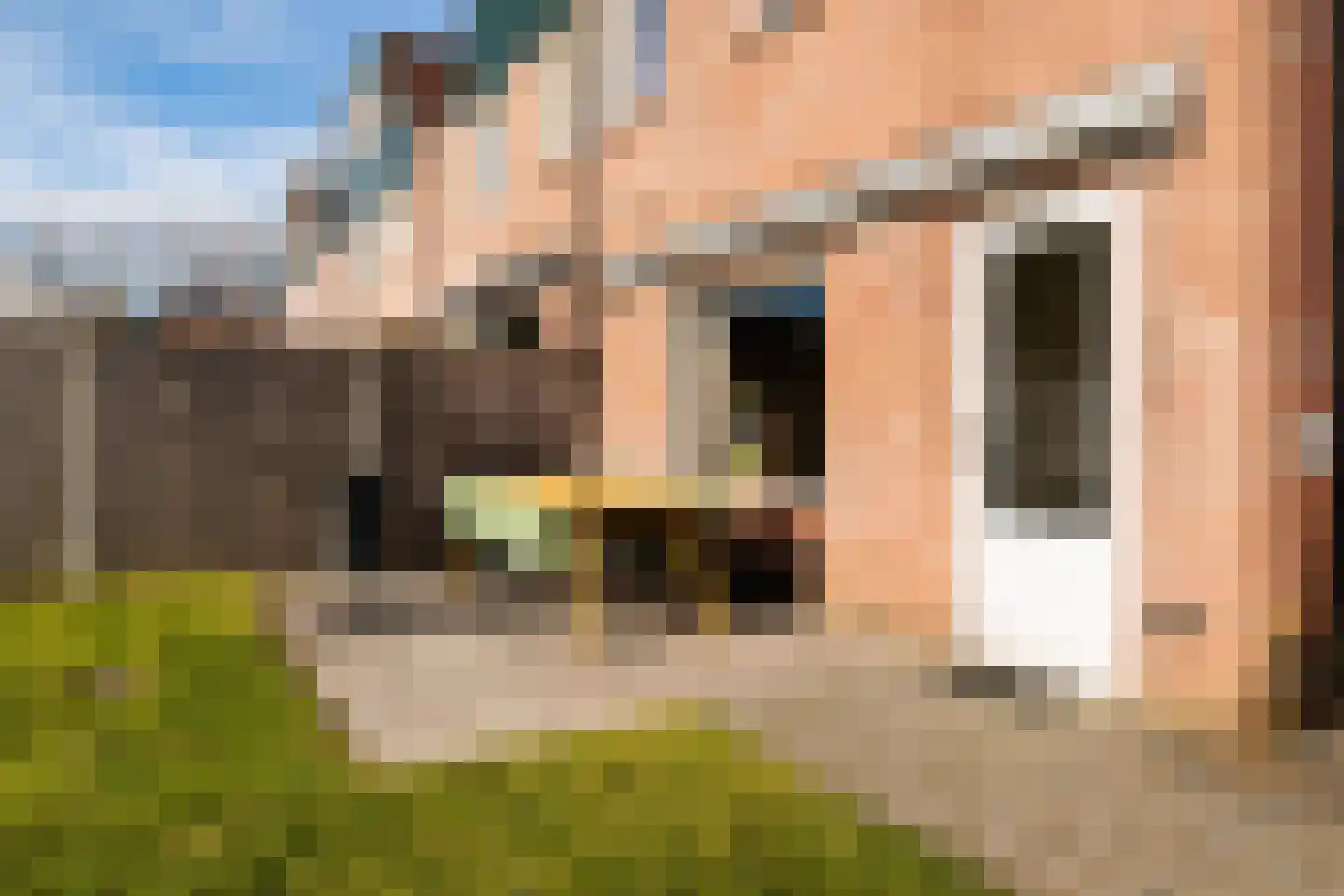 Steneveld 52 Ede thumbnail 37