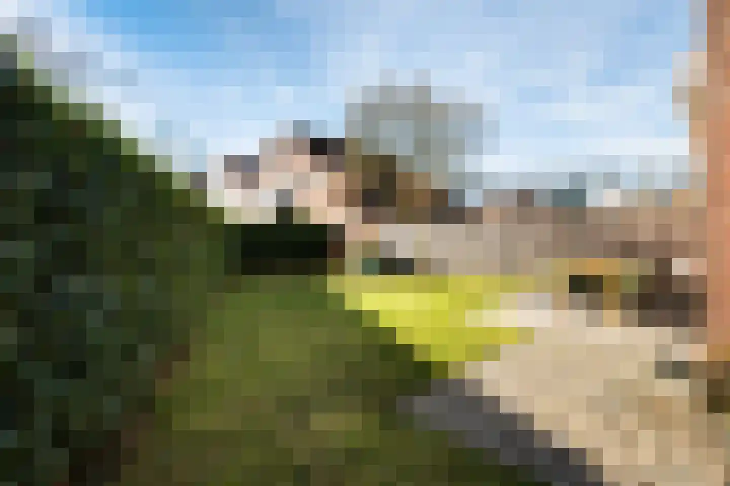 Steneveld 52 Ede thumbnail 39