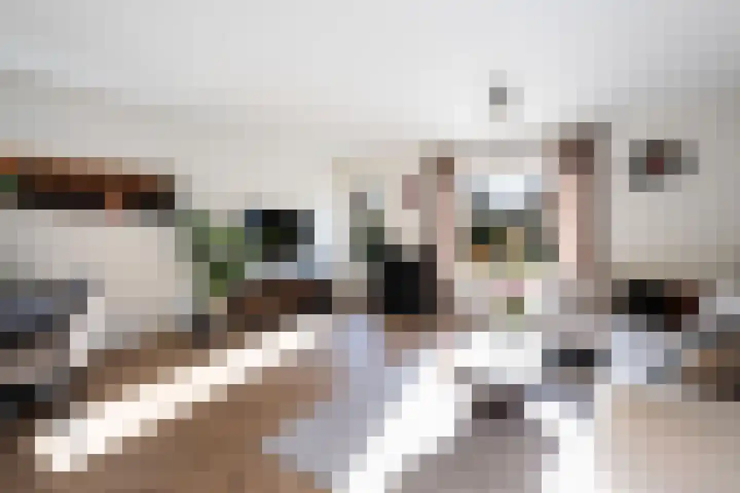 Steneveld 52 Ede thumbnail 4