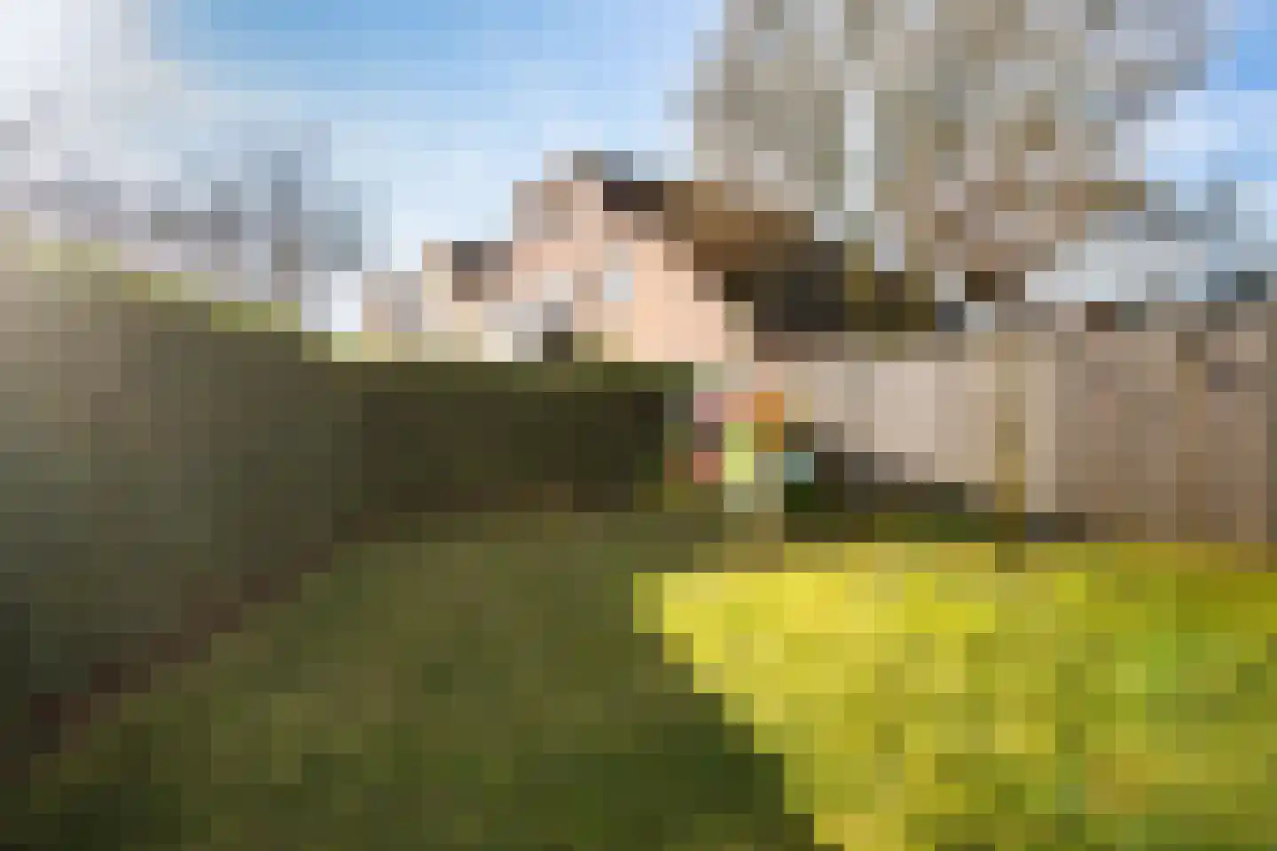 Steneveld 52 Ede thumbnail 40