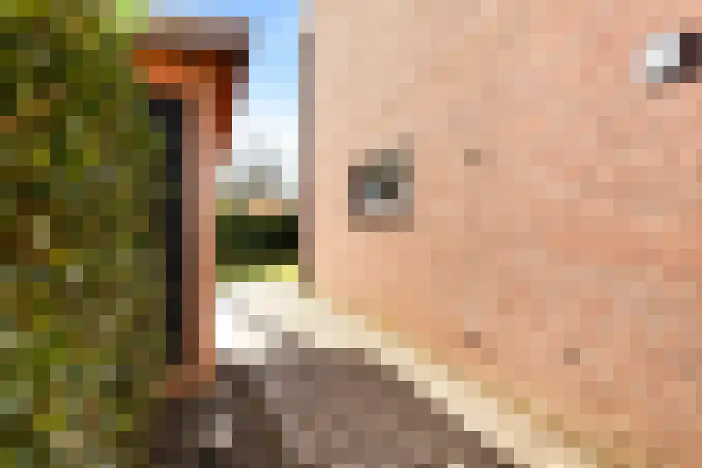 Steneveld 52 Ede thumbnail 45