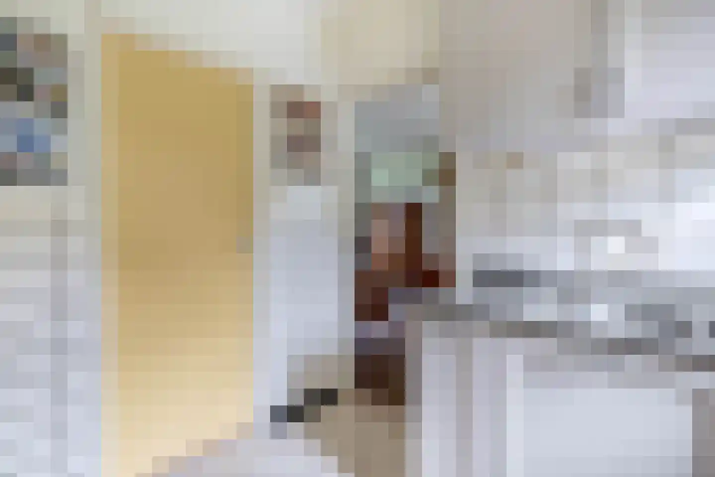 Steneweg 1 a Middelharnis thumbnail 17
