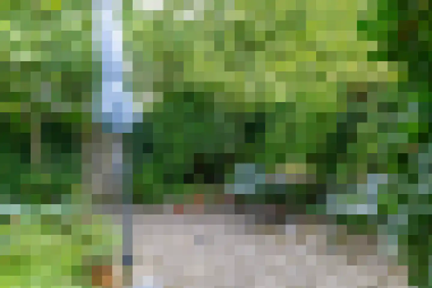 Steneweg 1 a Middelharnis thumbnail 28