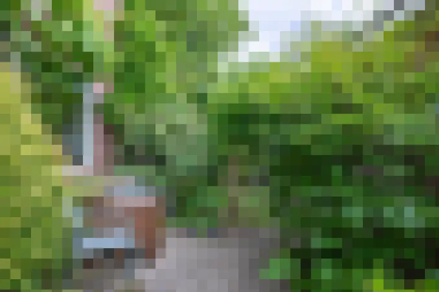 Steneweg 1 a Middelharnis thumbnail 29