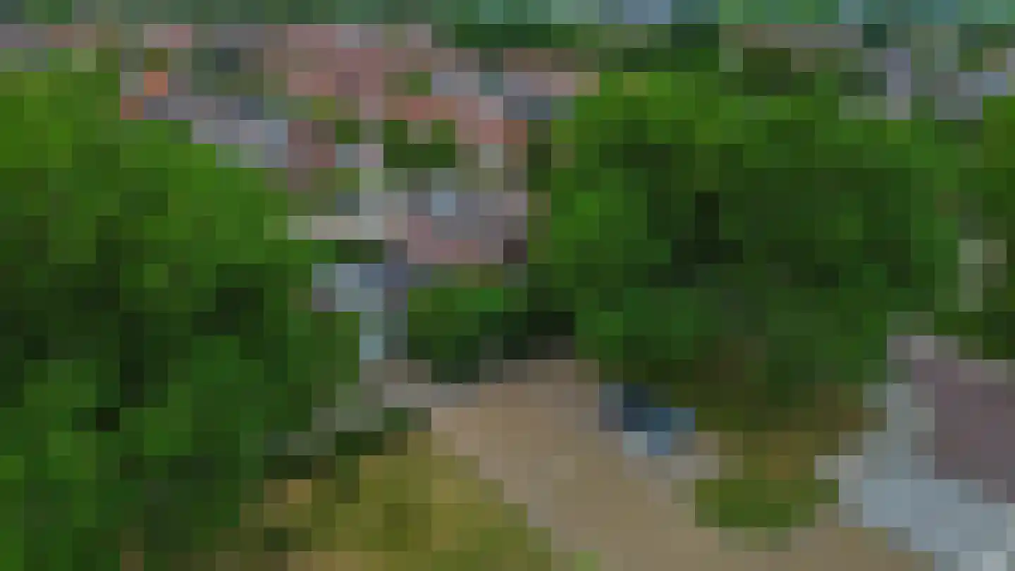 Steneweg 1 a Middelharnis thumbnail 34