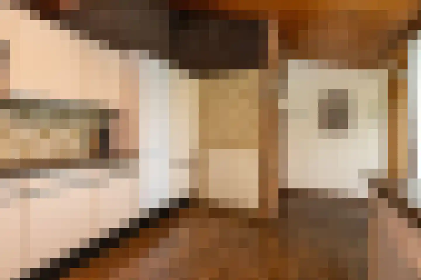 Steneweg 4 Middelharnis thumbnail 10