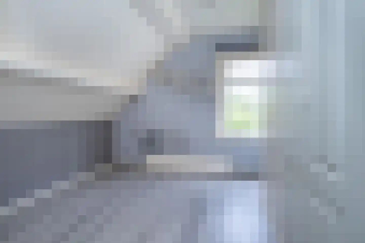 Steneweg 4 Middelharnis thumbnail 19